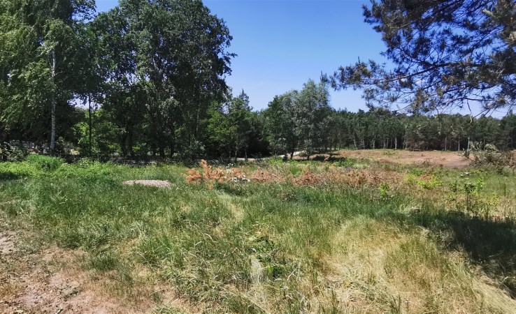 działka na sprzedaż - Sieradz, Herby