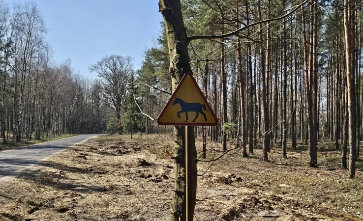 działka na sprzedaż - Warta (gw), Mogilno