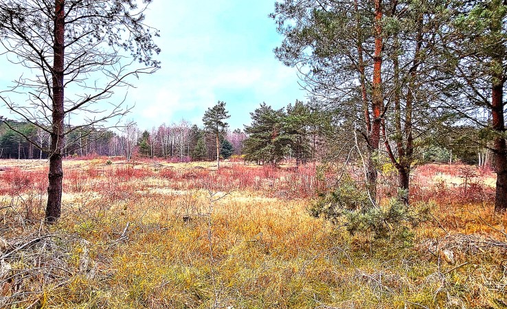 działka na sprzedaż - Sieradz, Herby